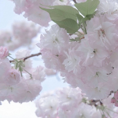 兽设零基础绘画实用教程FurryQQ群